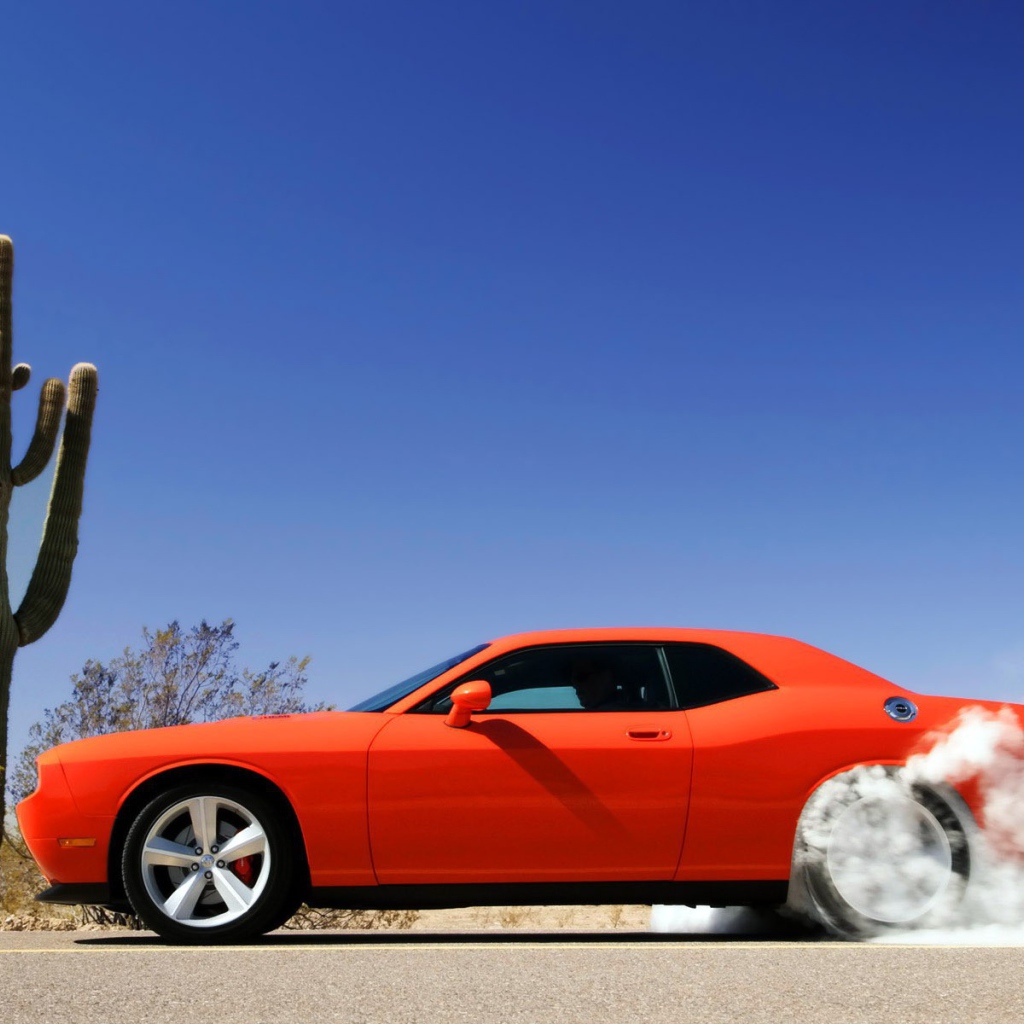 Оранжевый автомобиль стартует возле кактуса