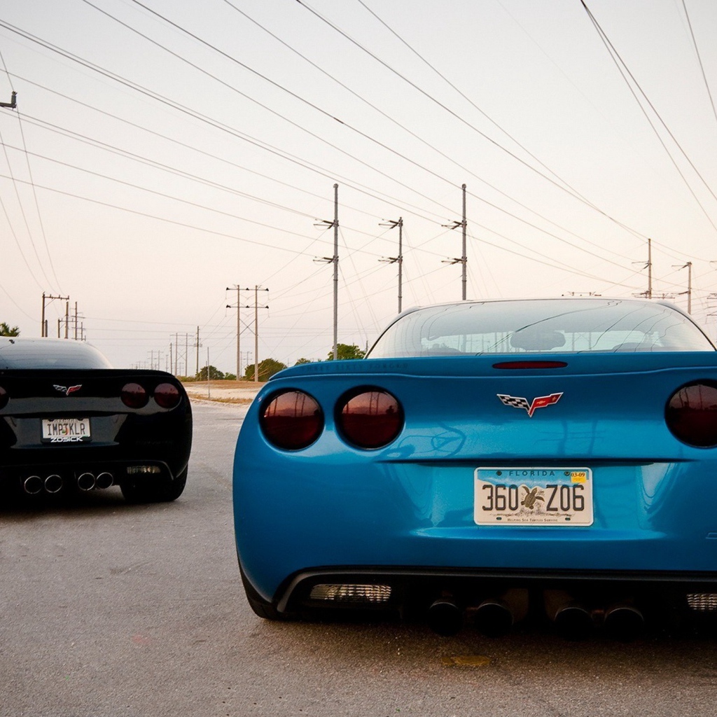 Вид сзади на спортивные авто