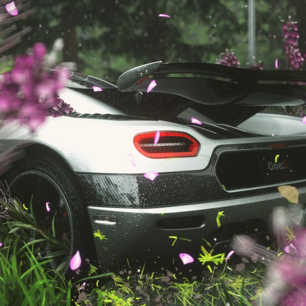 Вид сзади на спортивный автомобиль в цветах