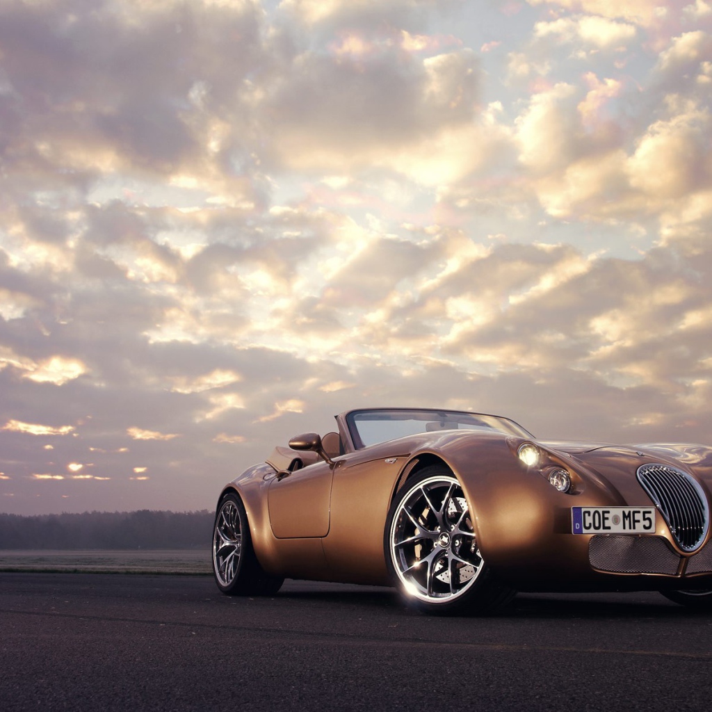 Спортивный коричневый Wiesmann