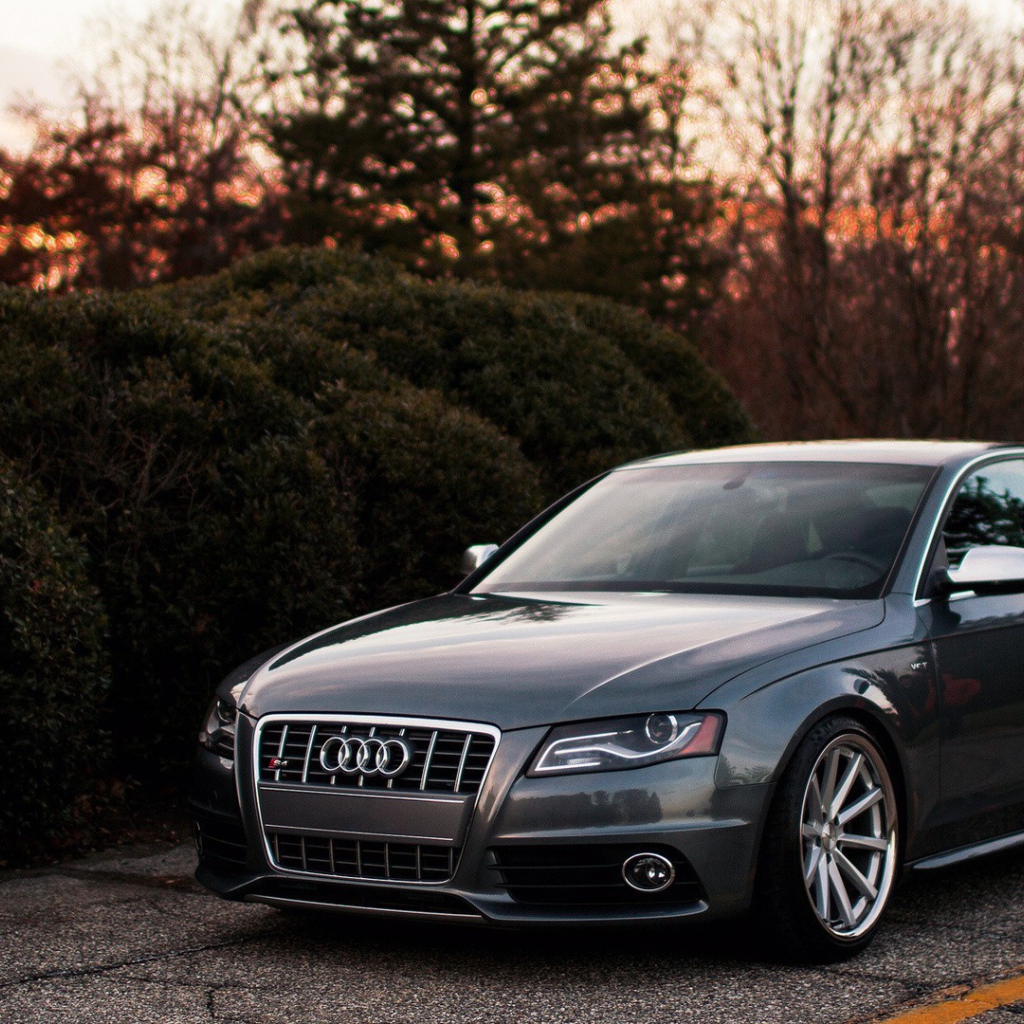 Темно серый Ауди у живой изгороди