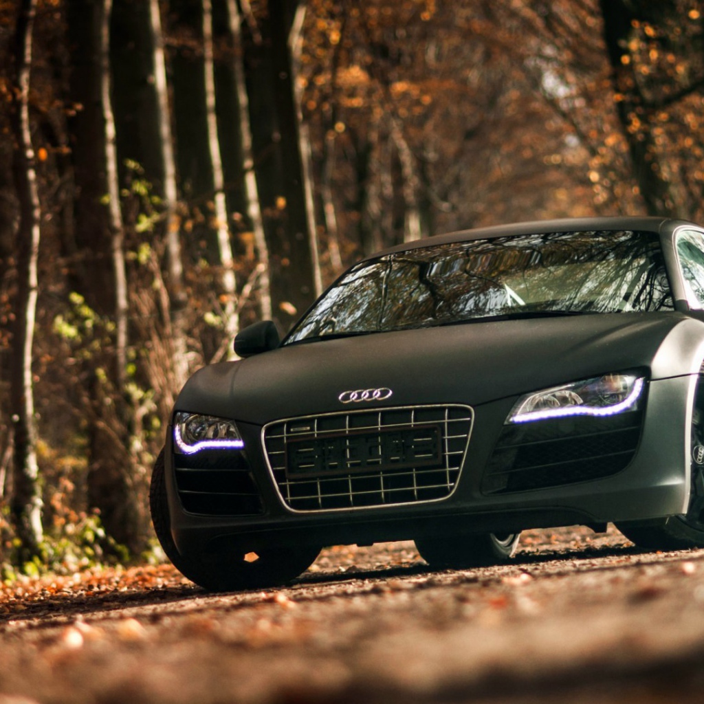 Двухдверный черный Ауди в лесу