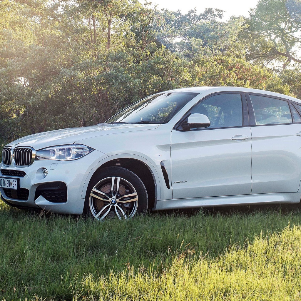 Полноприводный белый BMW на траве