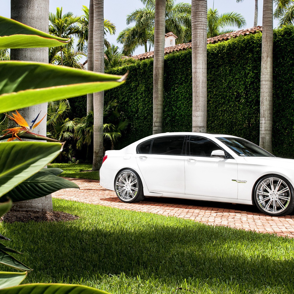 Белый БМВ во дворе богатого дома