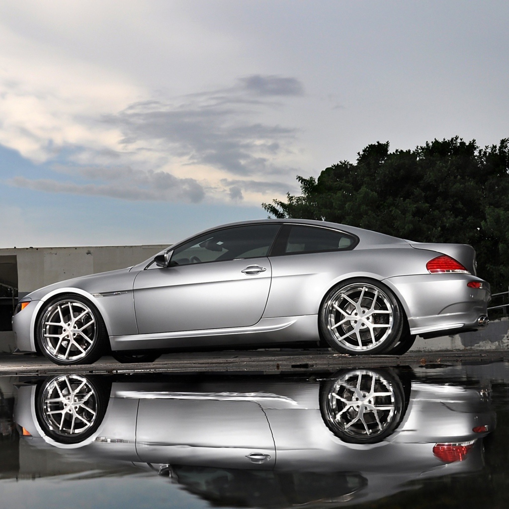 Серебристый BMW 6 у воды