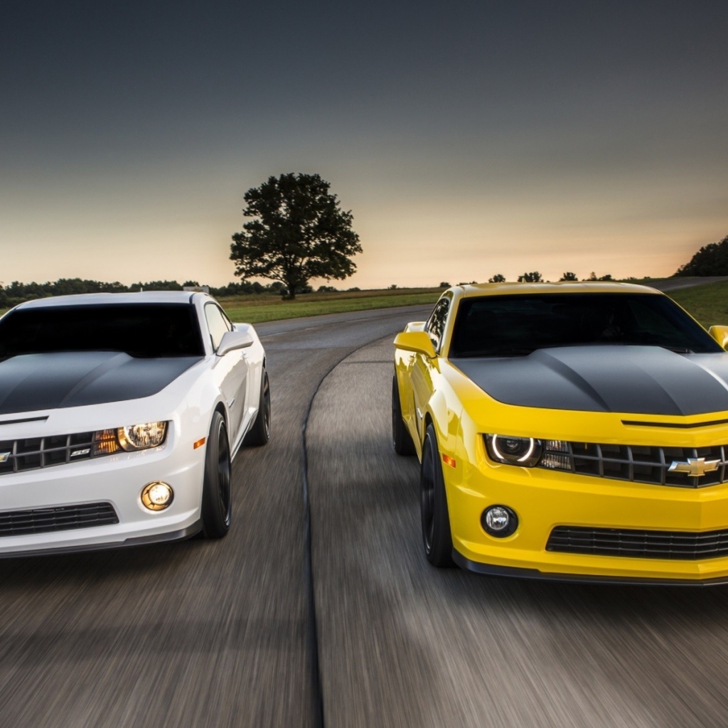 Соревнования белого и желтого Chevrolet Camaro
