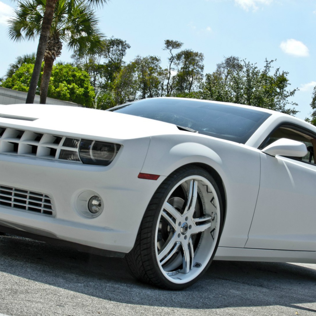 Мощный белый Chevrolet Camaro Asanti