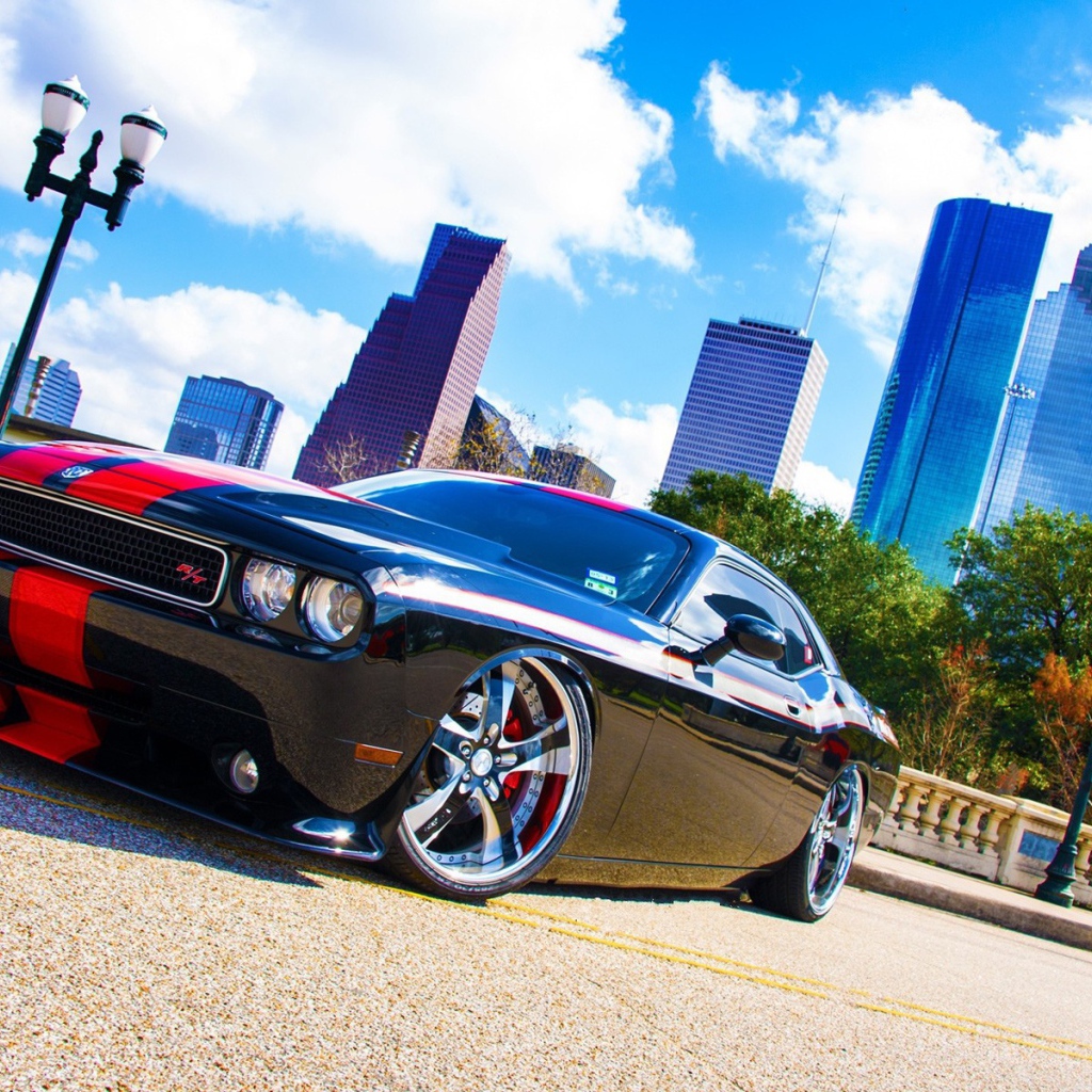 Черный Dodge Challenger с красными полосами на фоне небоскребов