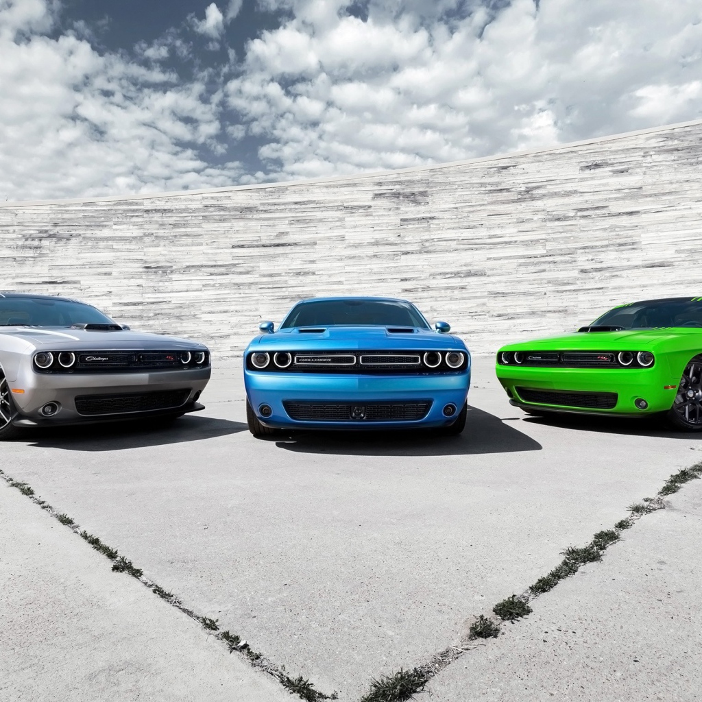 Три Dodge Challenger разных цветов