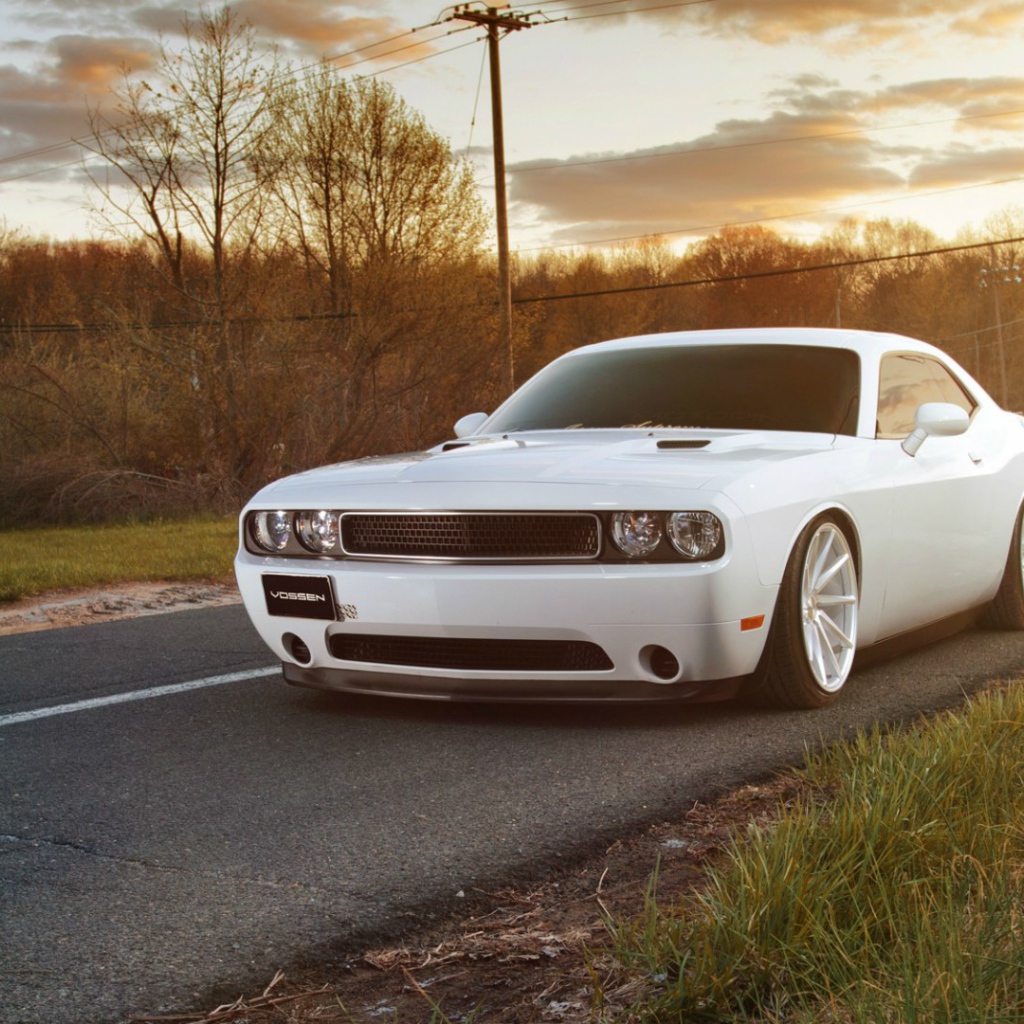 Белый Dodge Challenger на дороге