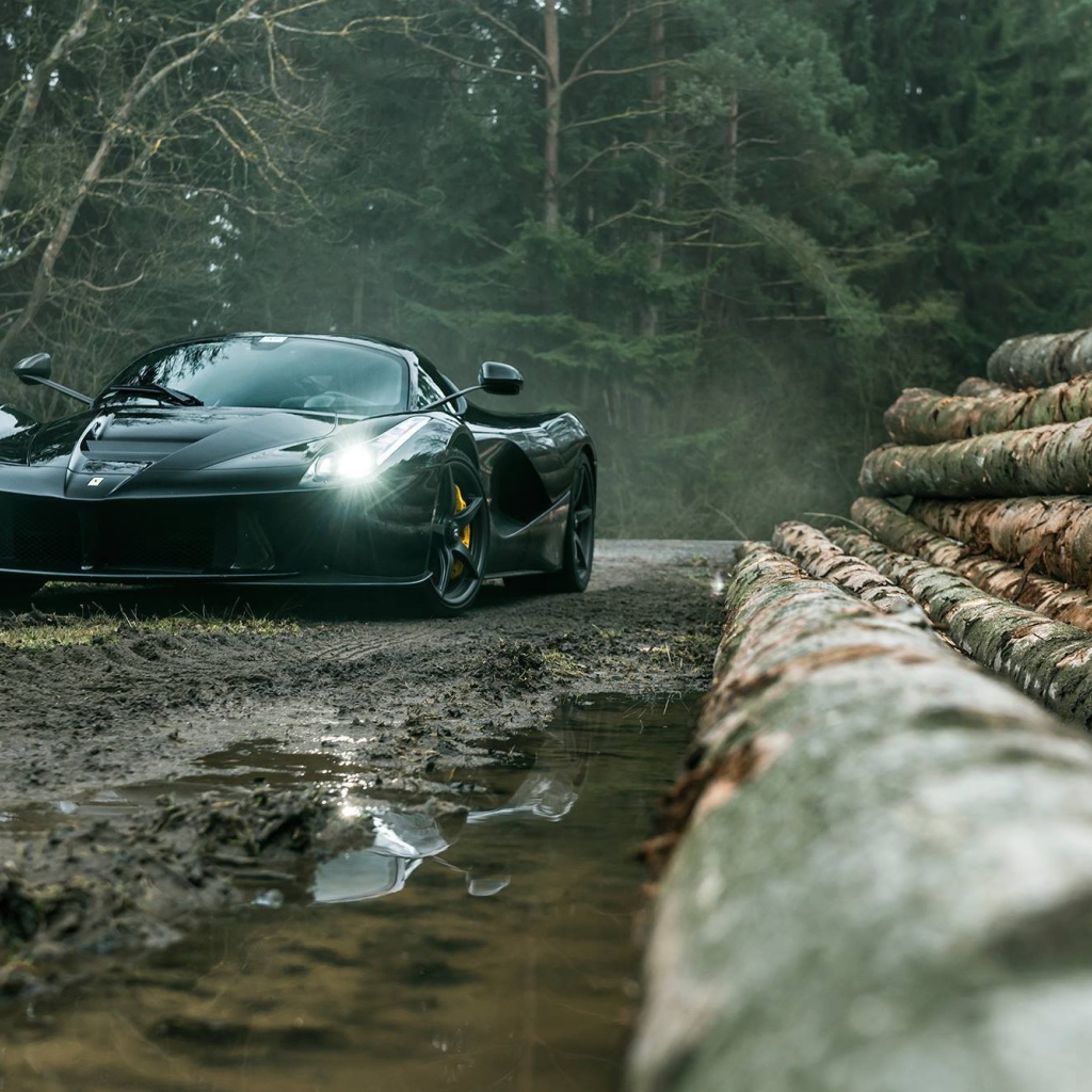 Черный Ferrari LaFerrari на лесоповале