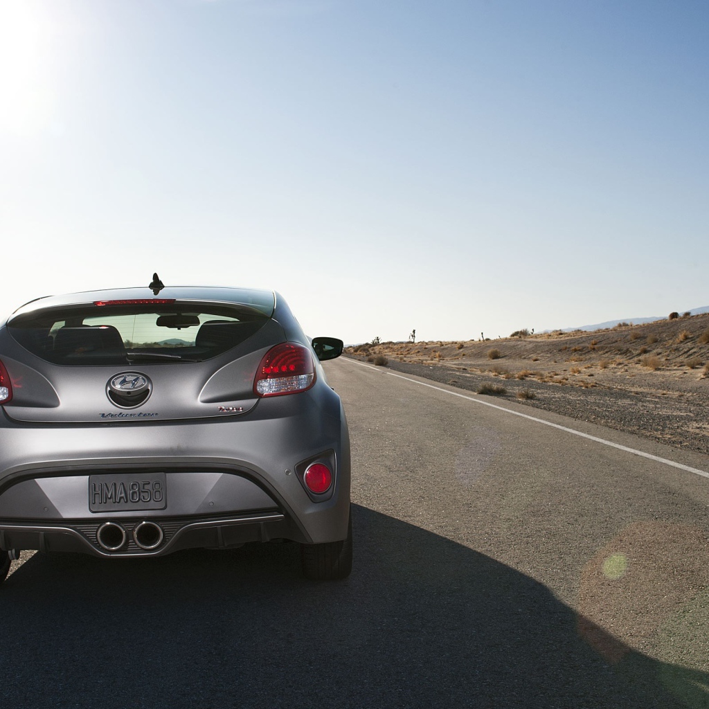 Вид сзади на Hyundai Veloster