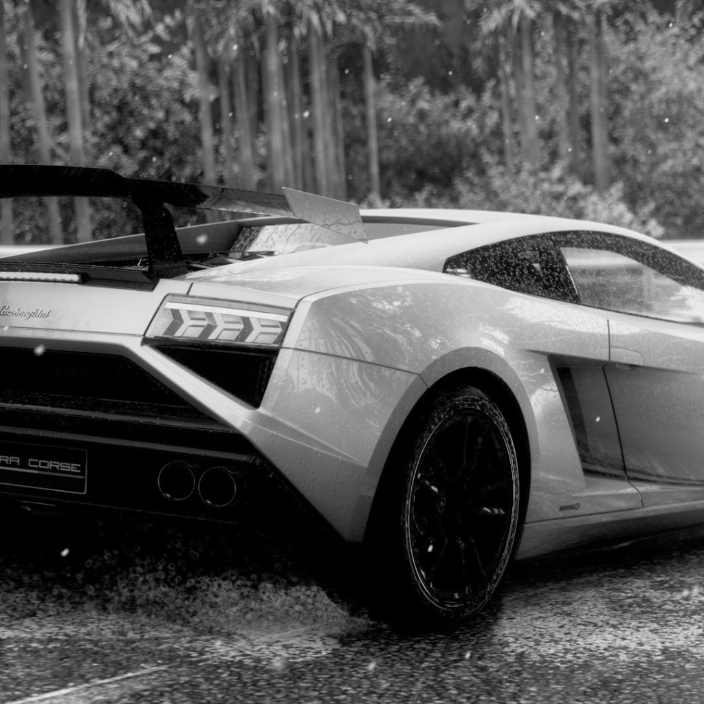 Черно белое фото Ламборгини под дождем