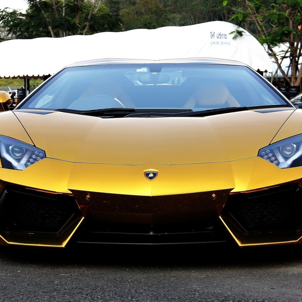 Золотой Lamborghini в Индии