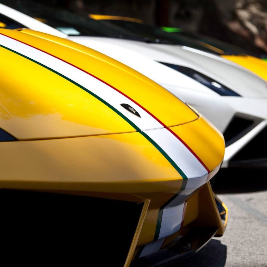 Капоты автомобилей Lamborghini Aventador NL2