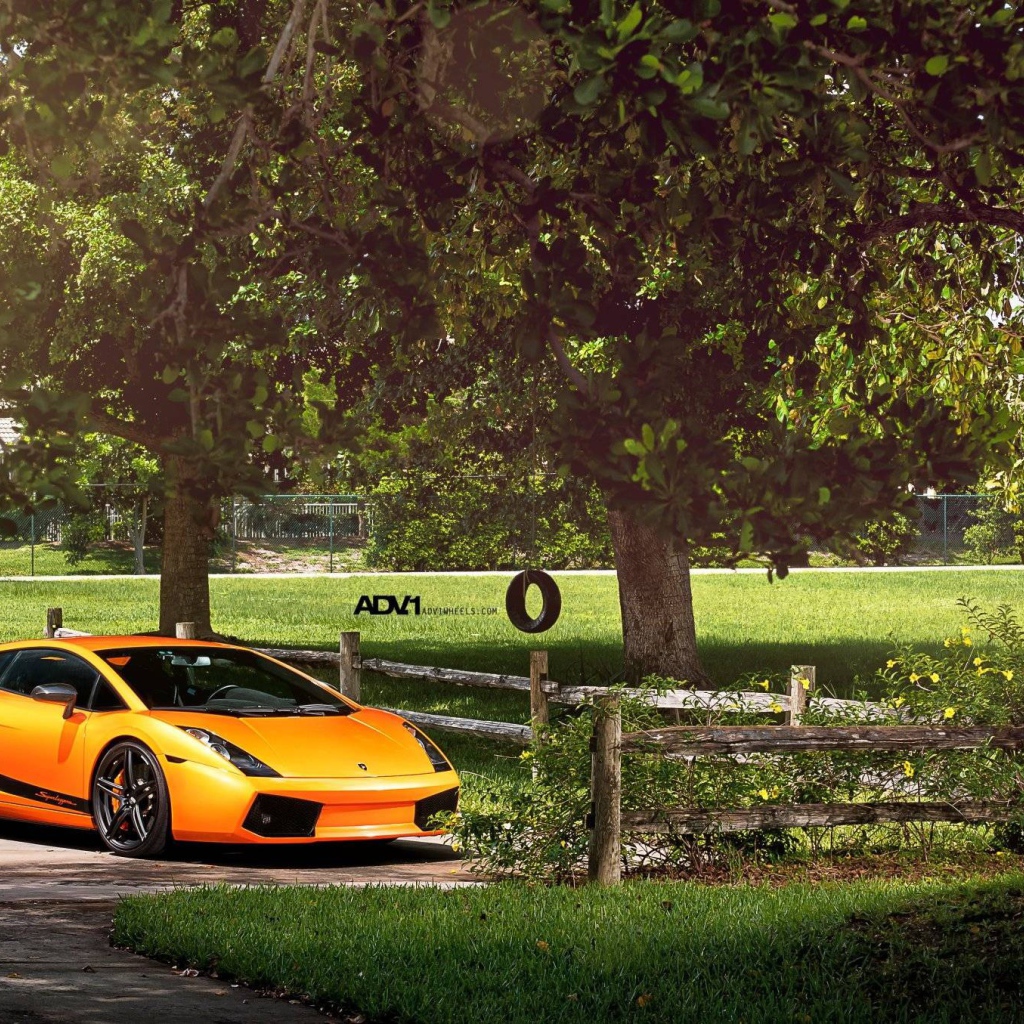 Оранжевый Lamborghini у фермерского забора