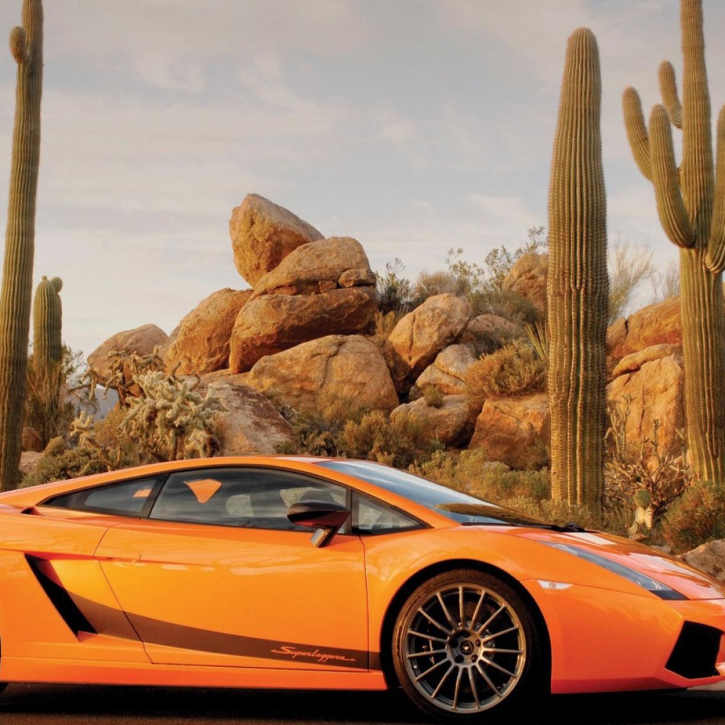 Оранжевый Ламборгини на фоне кактусов