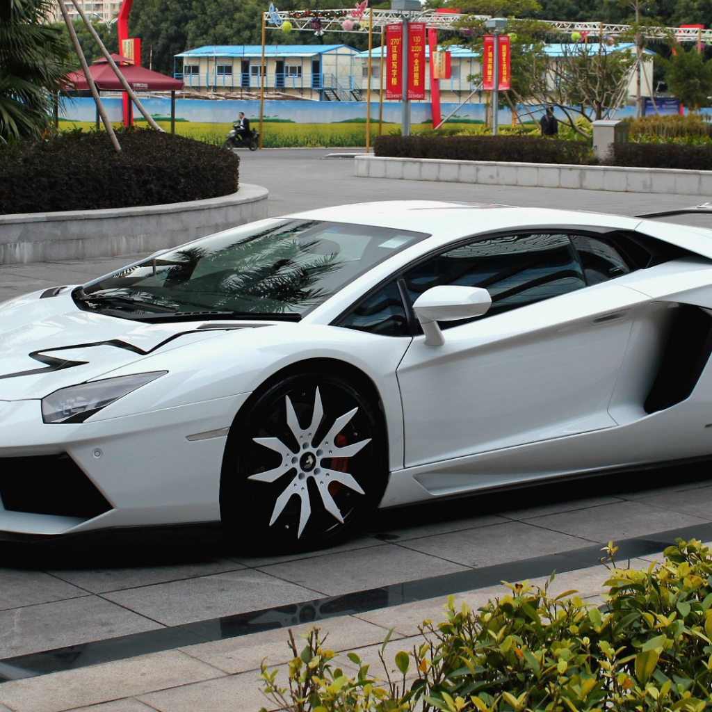 Белый Lamborghini Aventador LP 700-4