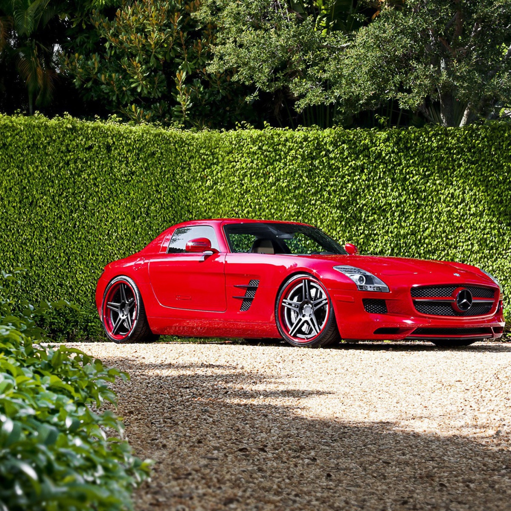 Красный Mercedes у забора из зелени