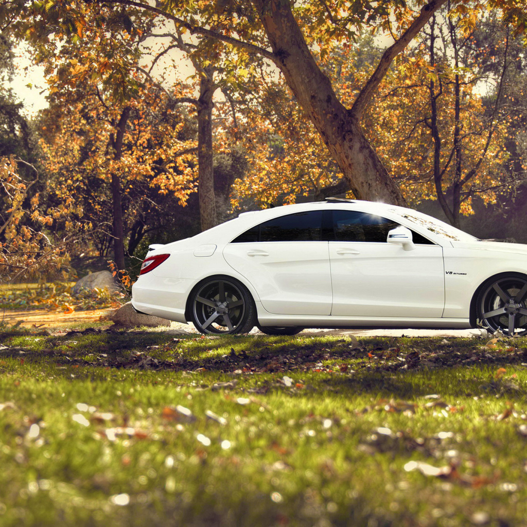 Белый мерседес на природе