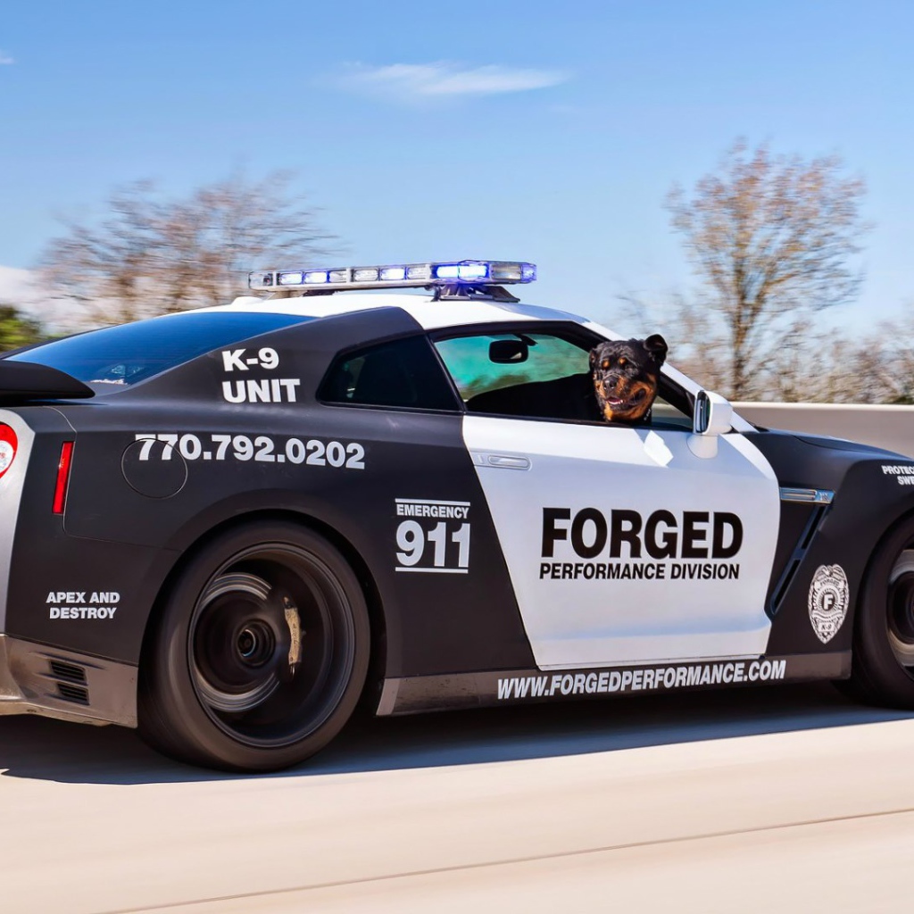 Полицейский Nissan GT-R
