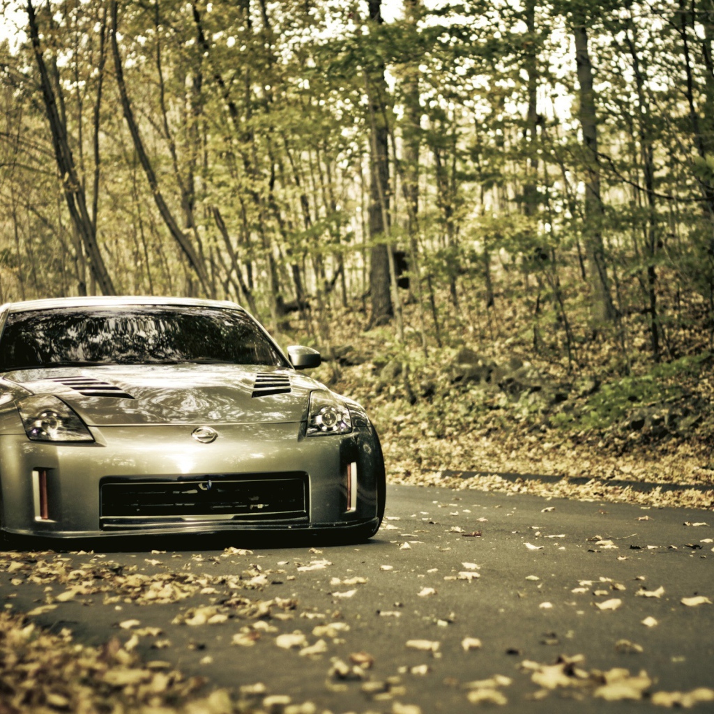Серебристый Nissan 350Z в лесу