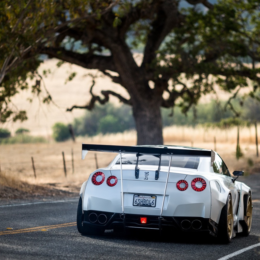 Белый Nissan GT-R на загородном шоссе