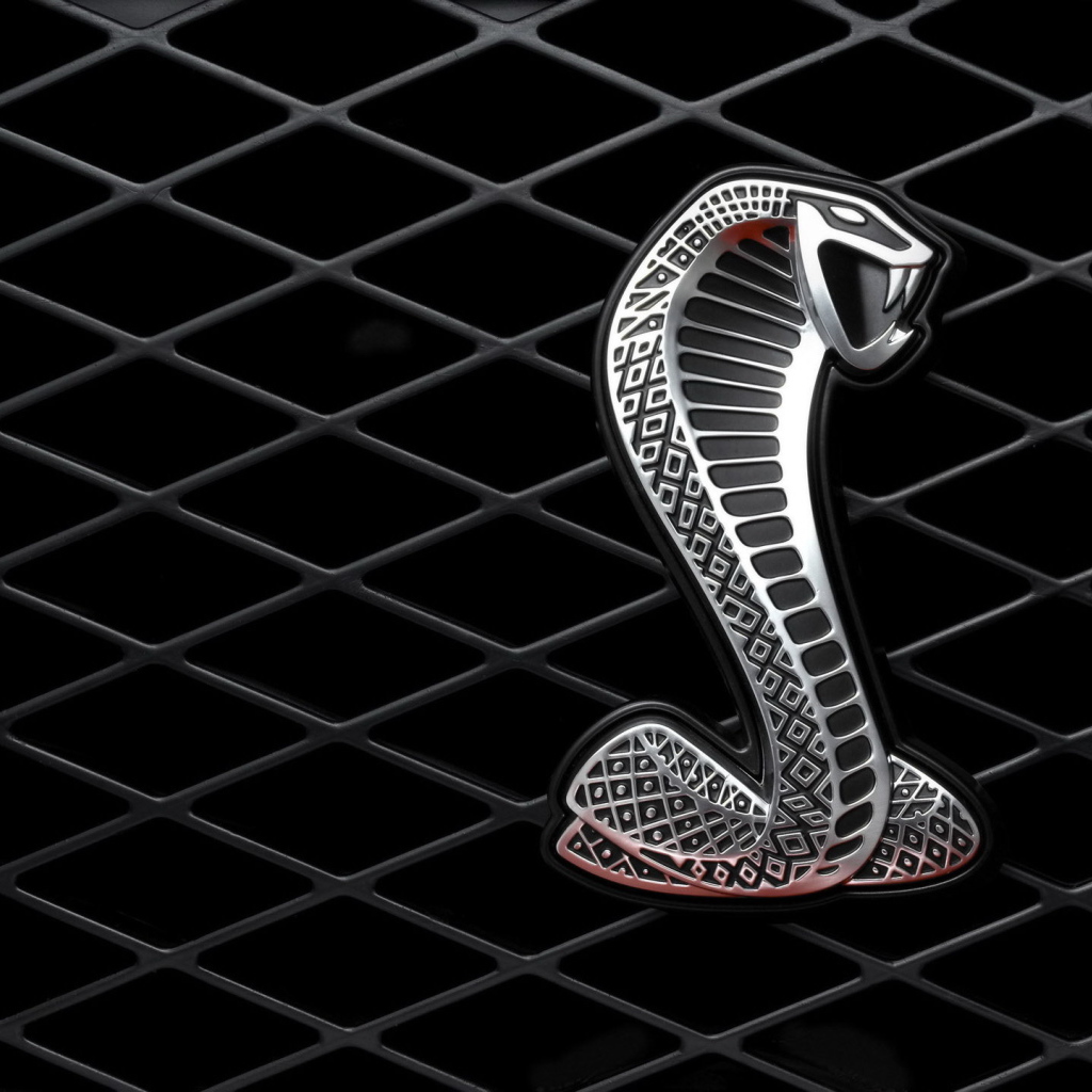 Кобра на решетке автомобиля