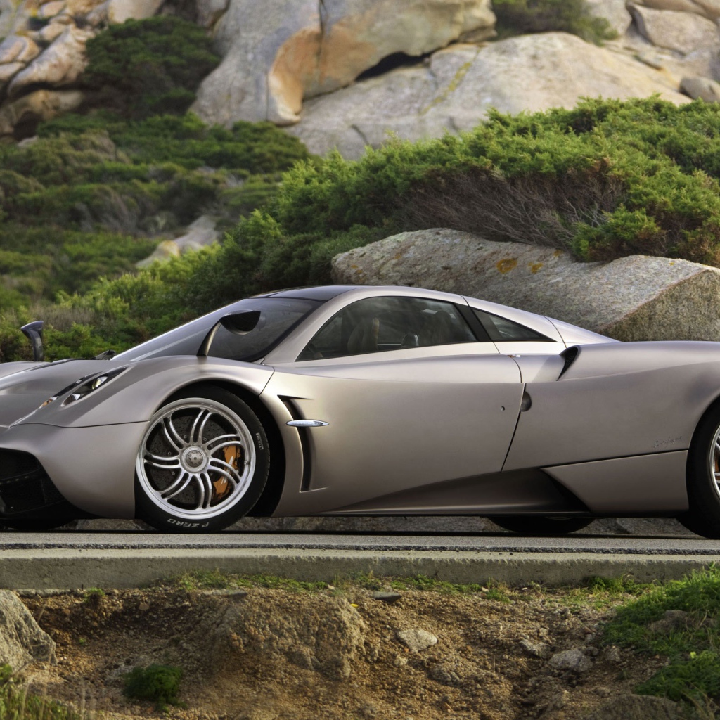 Серый Pagani на фоне камней