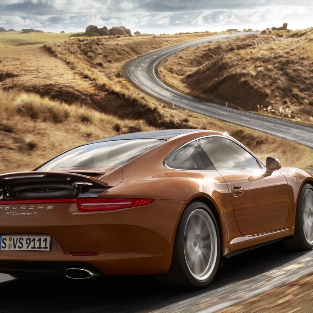 Коричневый Порше на шоссе за городом