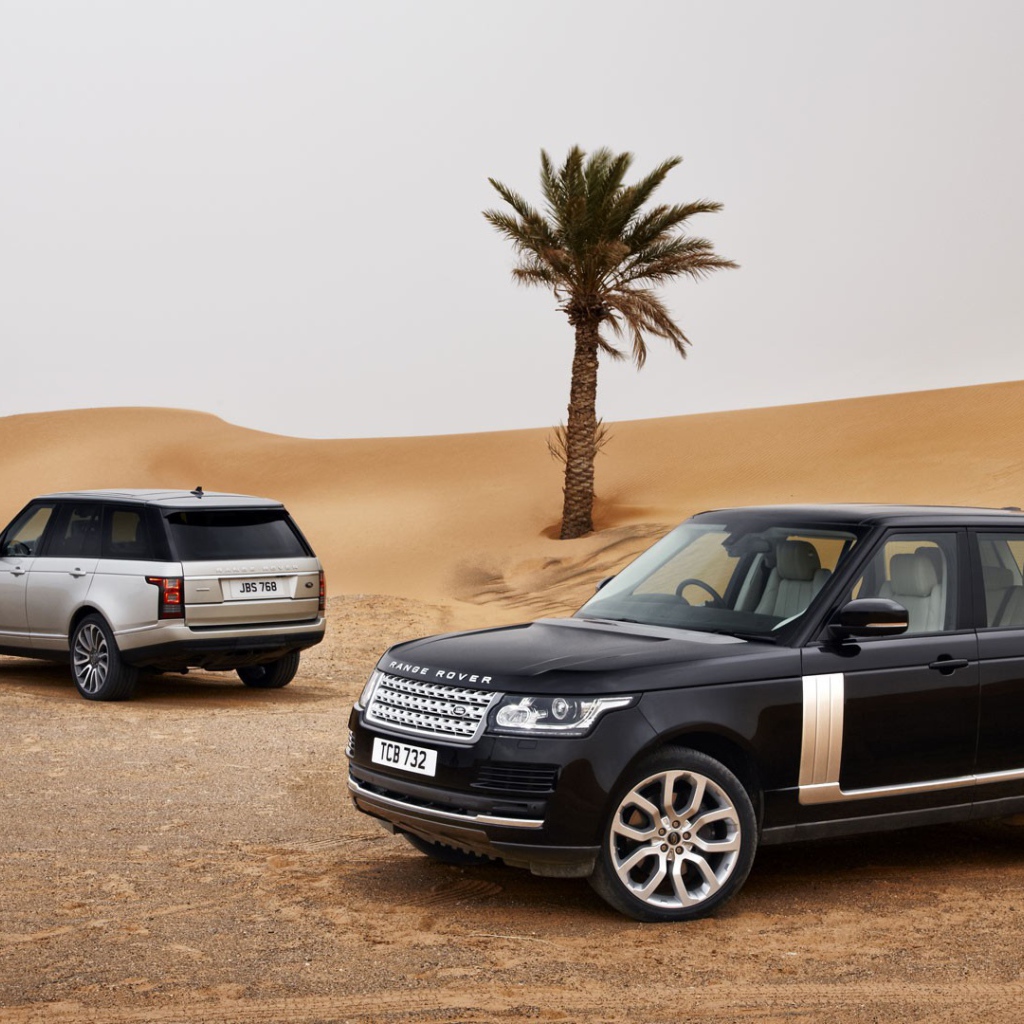 Черный Range Rover в пустыне