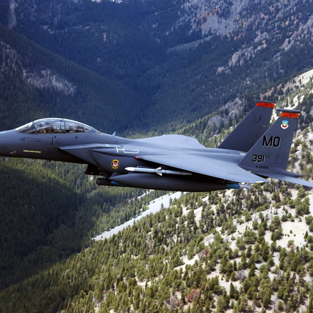Истребитель F-15 Eagle над горным лесом