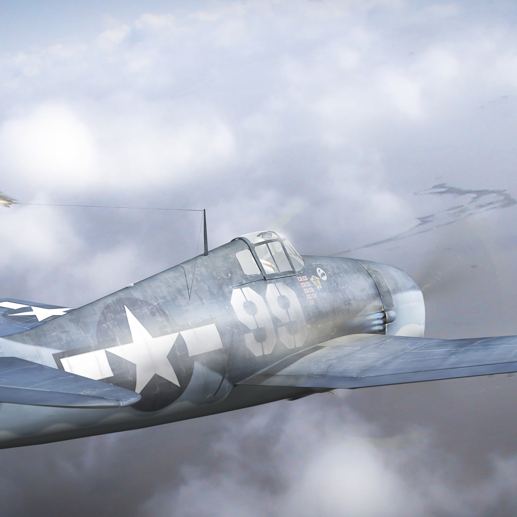 Самолет в воздушном бою