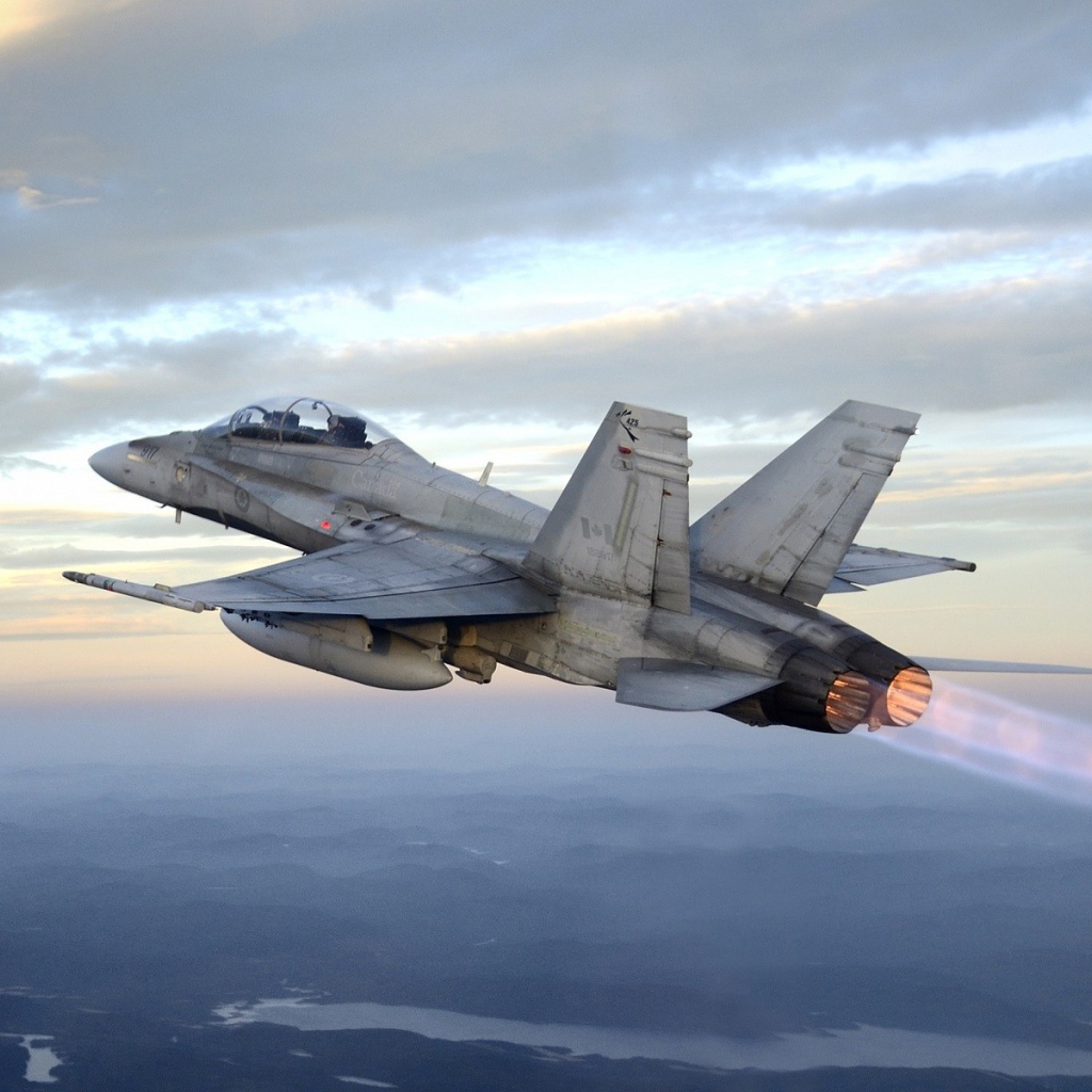 Реактивный самолет McDonnell Douglas CF-18 Hornet