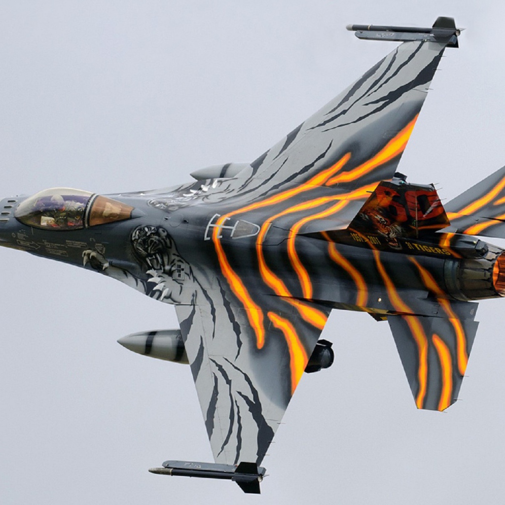 Тигровая раскраска самолета F-16