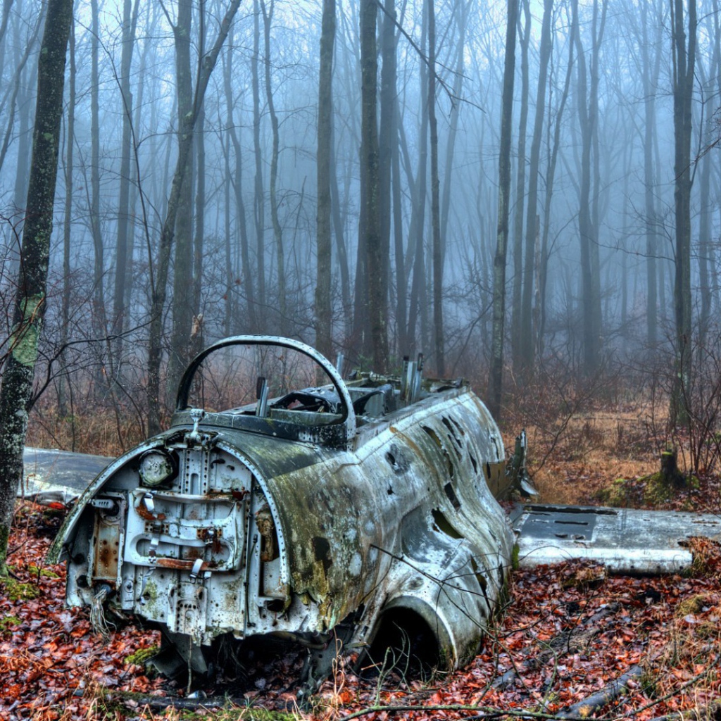 Обломки самолета в лесу