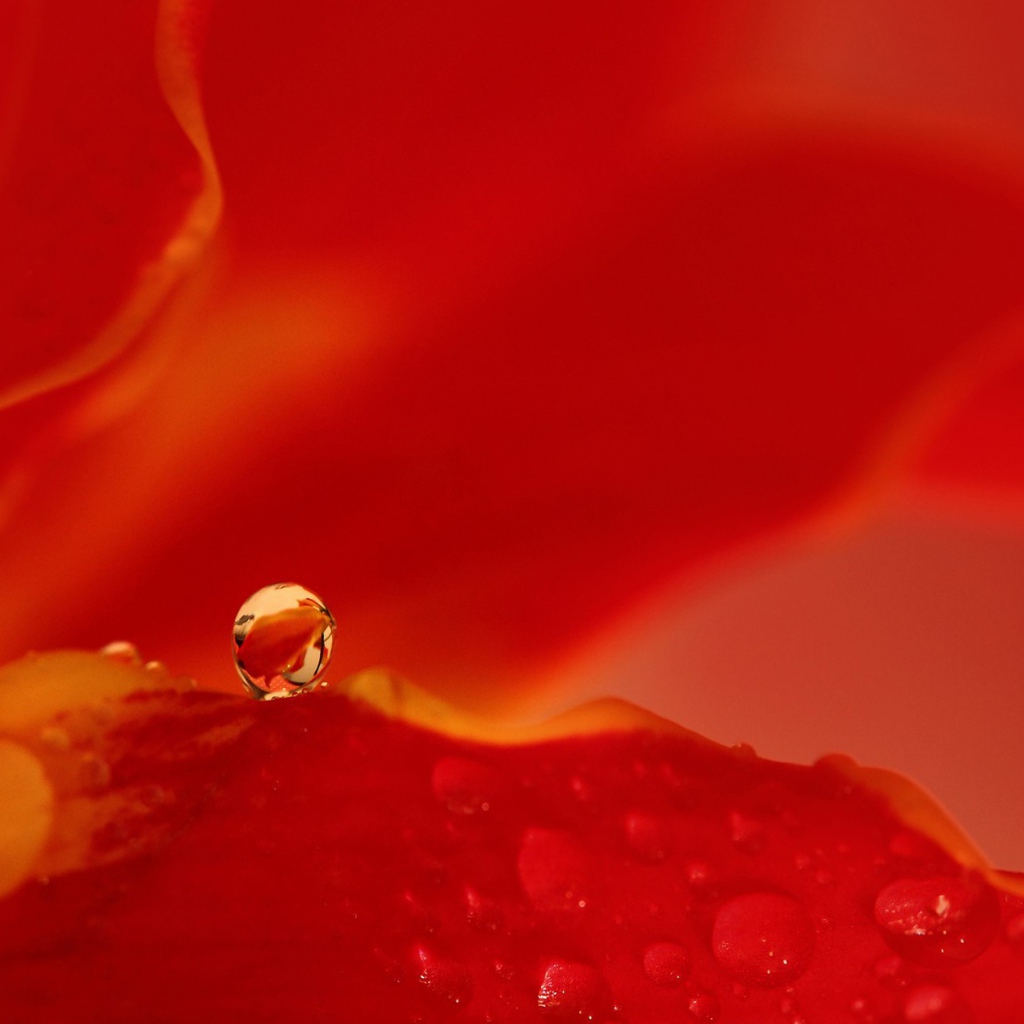 Капля воды на красном фоне