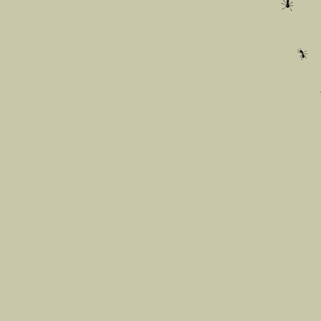 Муравьи на мониторе, серый фон