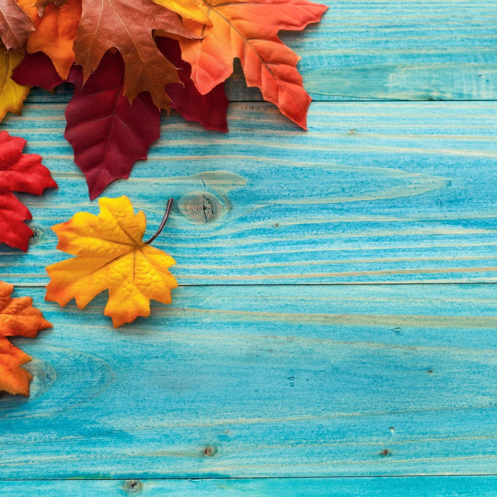 Осенние листья на голубых досках