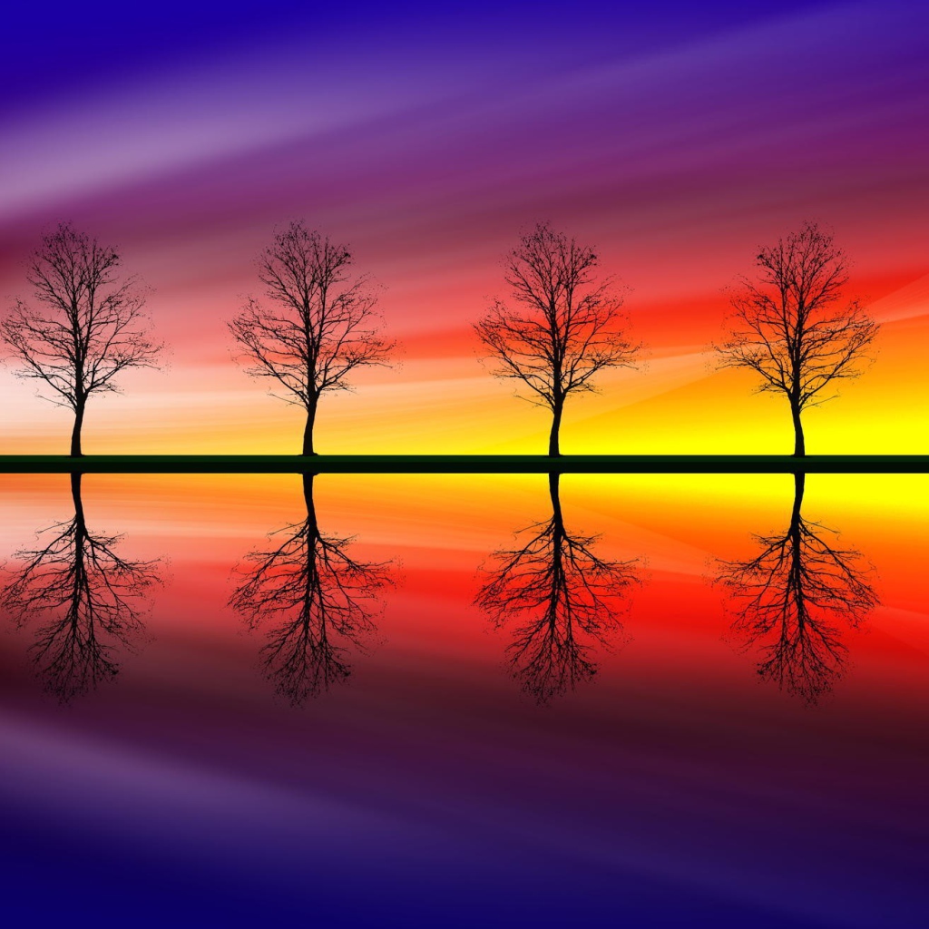 Голые деревья на фоне красочного заката