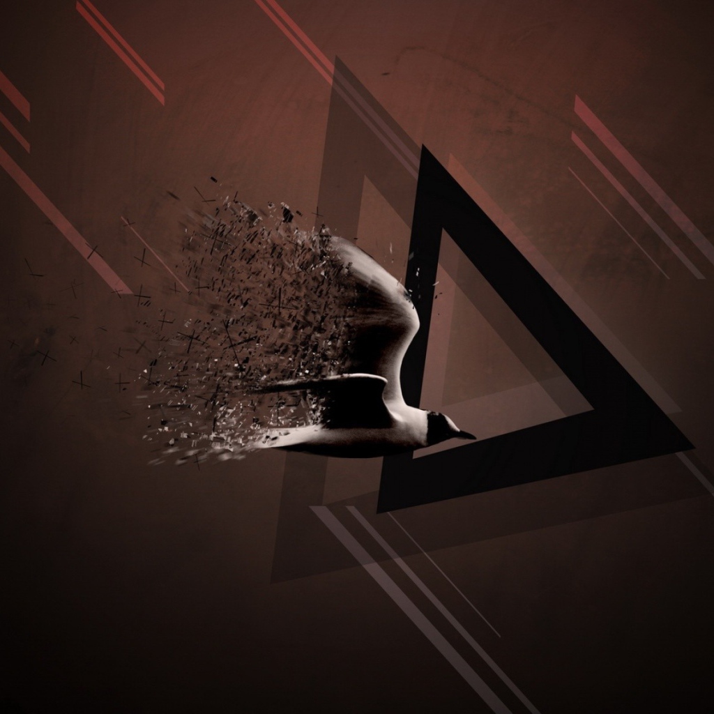 Птица и треугольник, коричневый фон