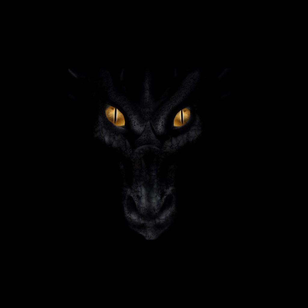 Черный дракон смотрит из тьмы