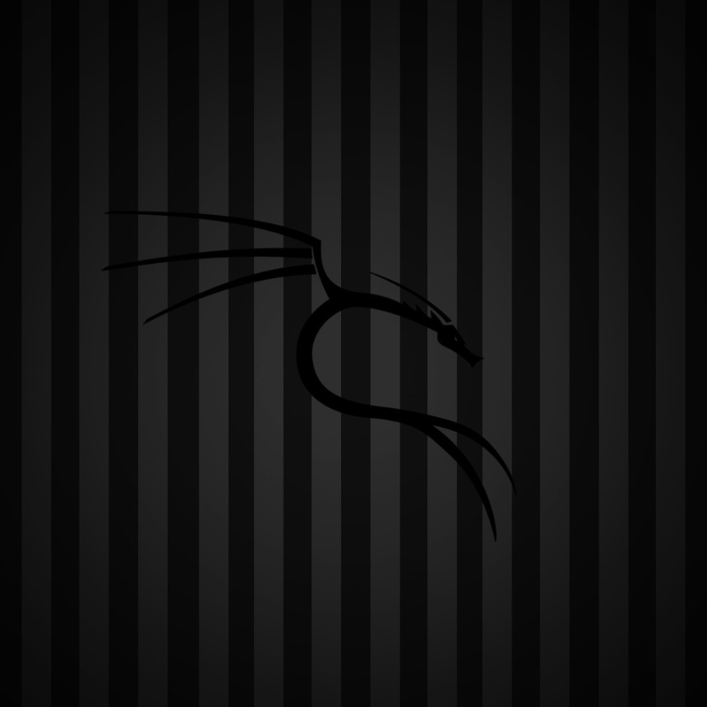 Черный фон Kali Linux