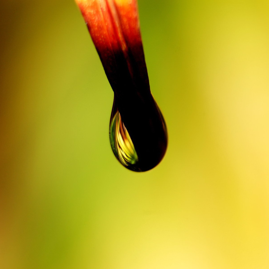 Черная капля