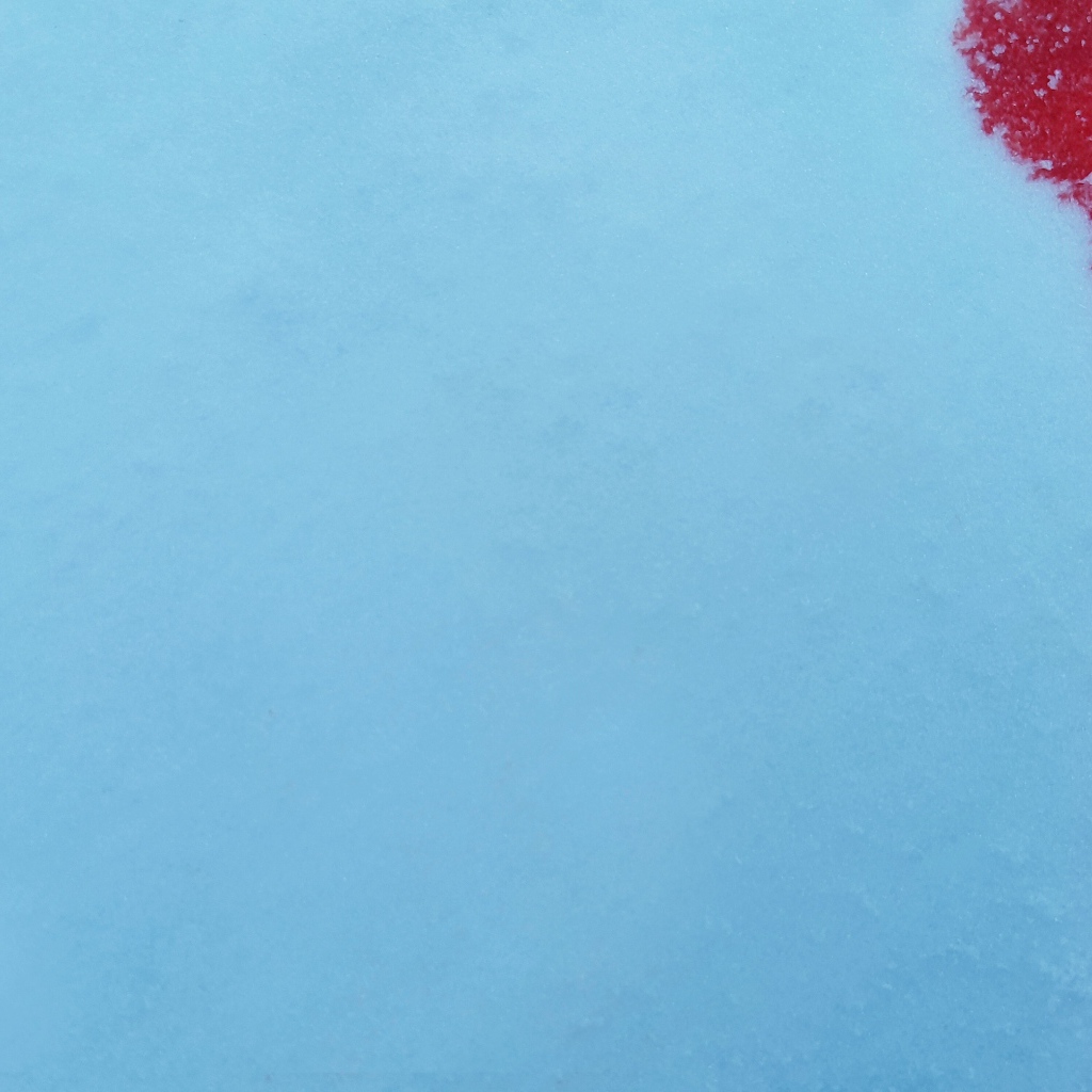 Кровь на голубом снеге