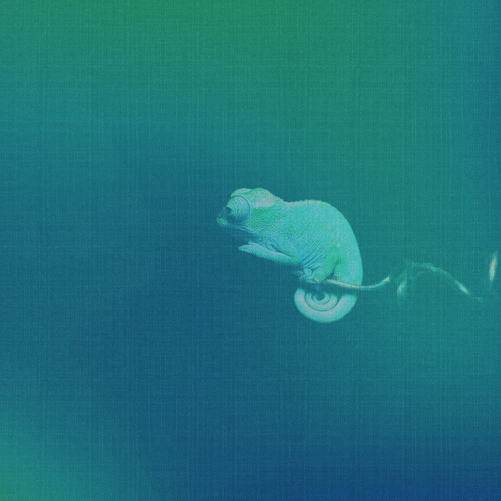 Хамелеон, синий фон Убунту