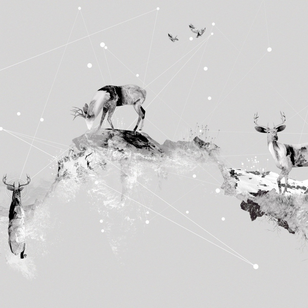 Олени в горах, серый фон