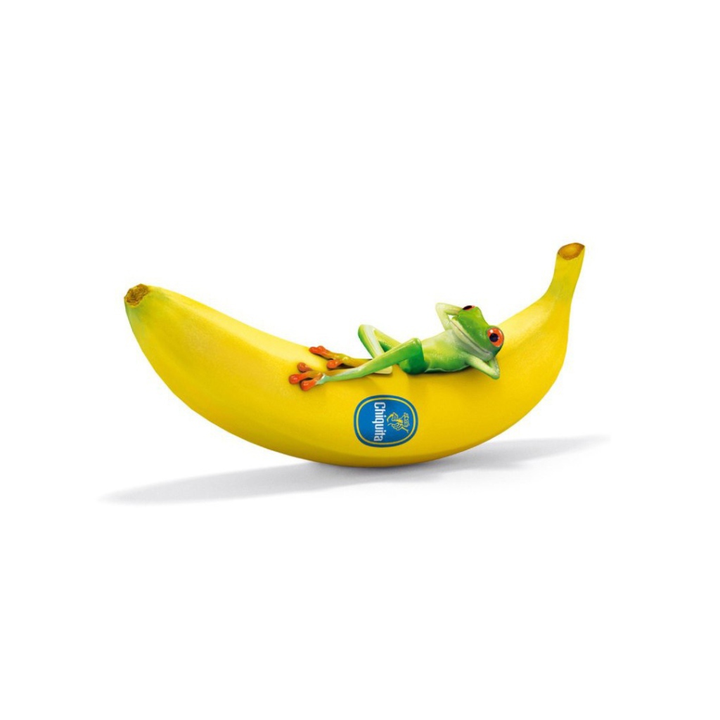 Лягушка на банане, белый фон