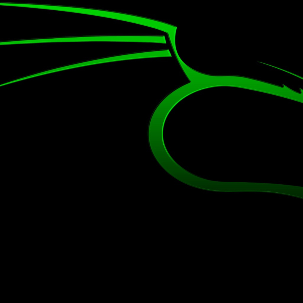 Зеленый дракон на черном фоне Kali Linux