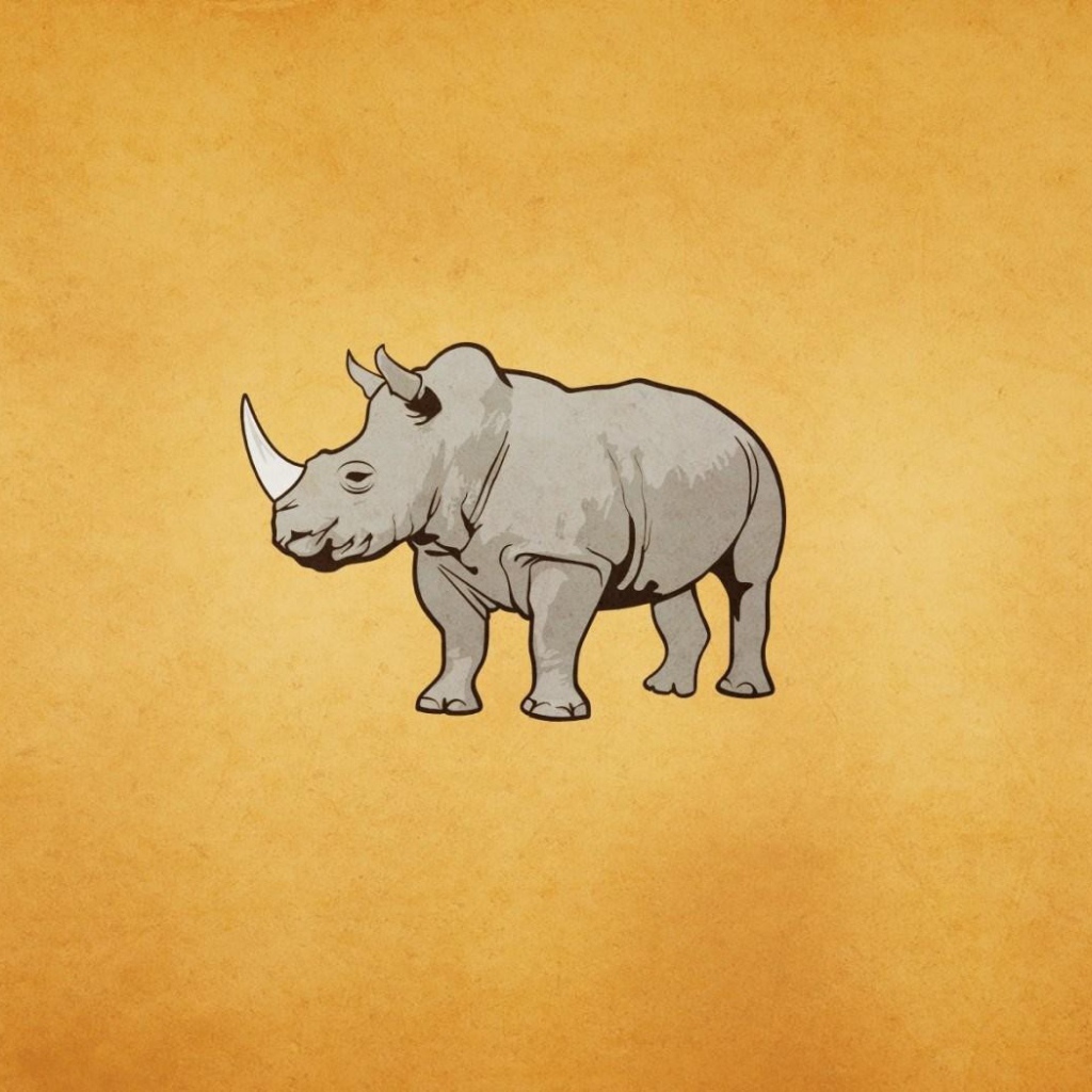 Серый носорог, оранжевый фон
